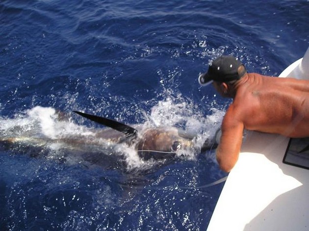 14/07 spearfish Cavalier & Blue Marlin Sport Fishing Gran Canaria