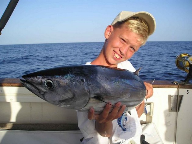 01/08 skipjack tuna Cavalier & Blue Marlin Sport Fishing Gran Canaria