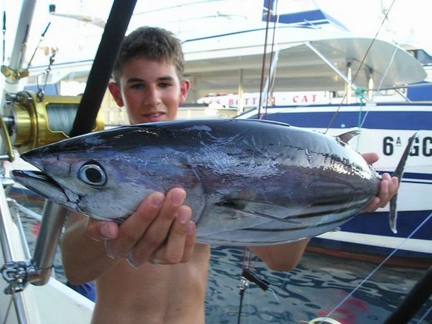 04/08 skipjack tuna Cavalier & Blue Marlin Sport Fishing Gran Canaria