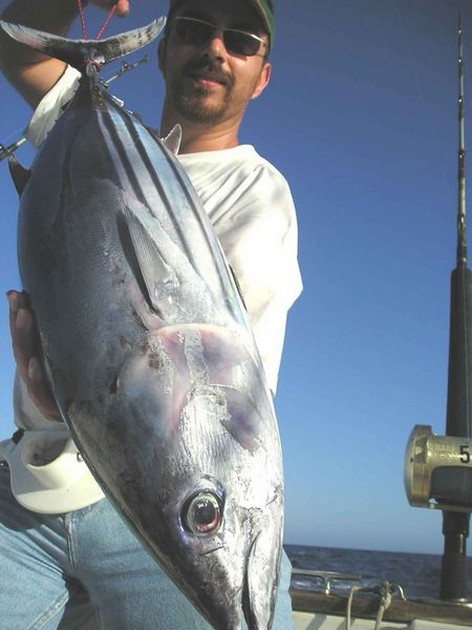 06/08 skipjack tuna Cavalier & Blue Marlin Sport Fishing Gran Canaria