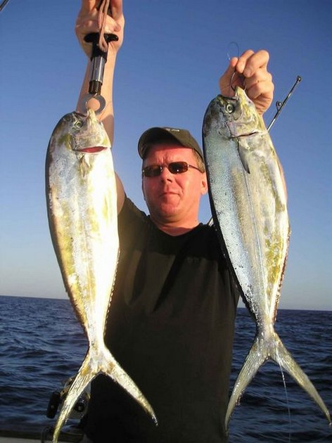 22/08 dorado Cavalier & Blue Marlin Sport Fishing Gran Canaria