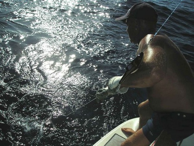 23/08 hooked up Cavalier & Blue Marlin Sport Fishing Gran Canaria