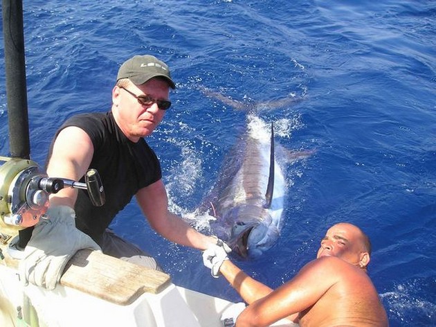 24/08 blue marlin Cavalier & Blue Marlin Sport Fishing Gran Canaria