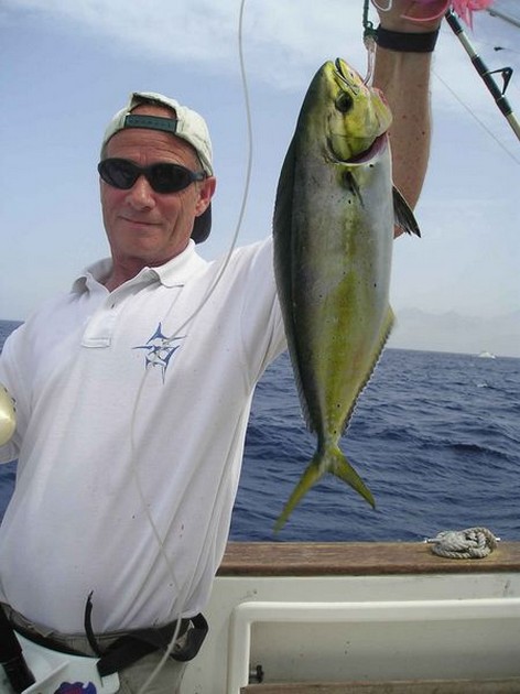 26/08 dorado Cavalier & Blue Marlin Sport Fishing Gran Canaria