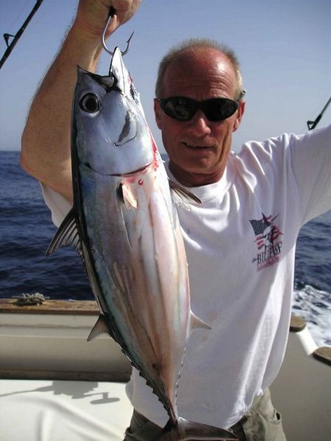 28/08 skipjack tuna Cavalier & Blue Marlin Sport Fishing Gran Canaria
