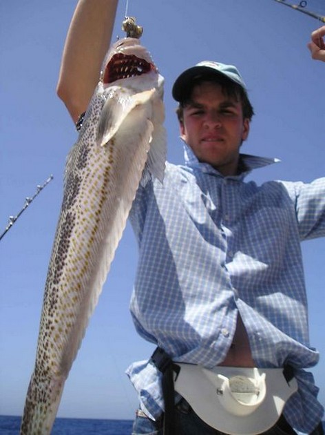 17/09 steaked weever Cavalier & Blue Marlin Sport Fishing Gran Canaria