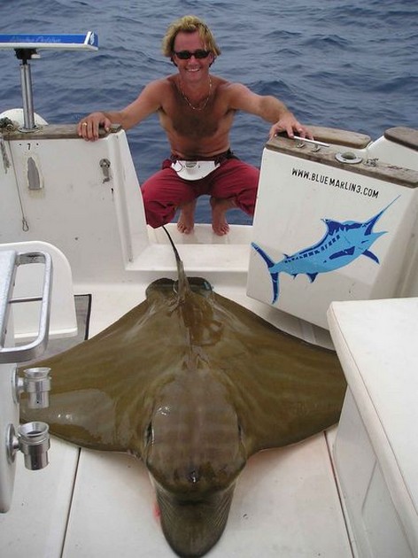 02/10 duckbill ray Cavalier & Blue Marlin Sport Fishing Gran Canaria