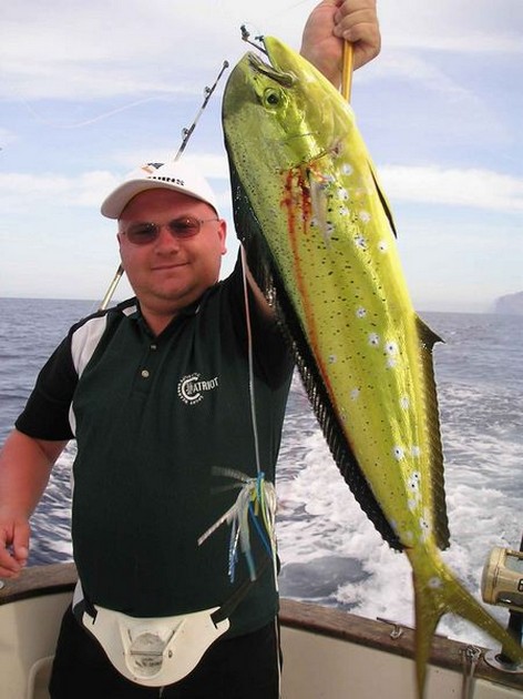 13/10 dorado Cavalier & Blue Marlin Sport Fishing Gran Canaria