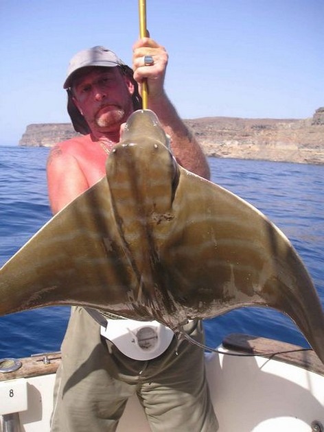 24/10 duckbill ray Cavalier & Blue Marlin Sport Fishing Gran Canaria