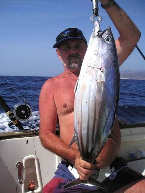 26/10 skipjack tuna Cavalier & Blue Marlin Sport Fishing Gran Canaria
