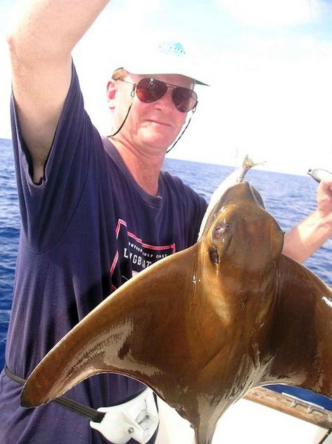 28/10 eagle ray Cavalier & Blue Marlin Sport Fishing Gran Canaria
