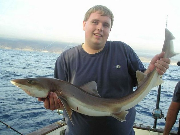 29/10 smoothhound Cavalier & Blue Marlin Sport Fishing Gran Canaria