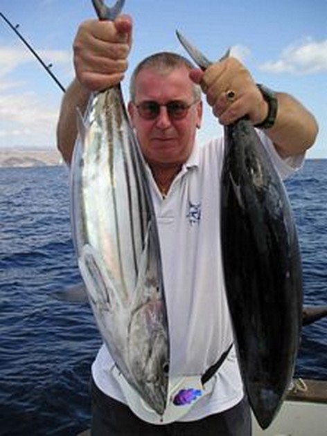 03/11 skipjack tuna Cavalier & Blue Marlin Sport Fishing Gran Canaria