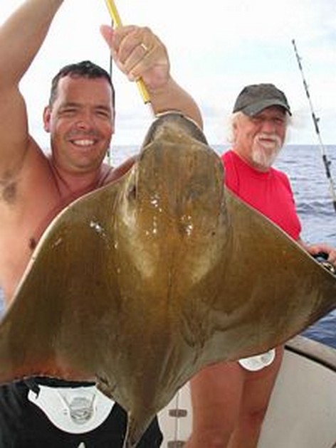 04/11 cownose ray Cavalier & Blue Marlin Sport Fishing Gran Canaria