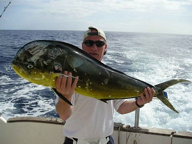 12/11 dorado Cavalier & Blue Marlin Sport Fishing Gran Canaria