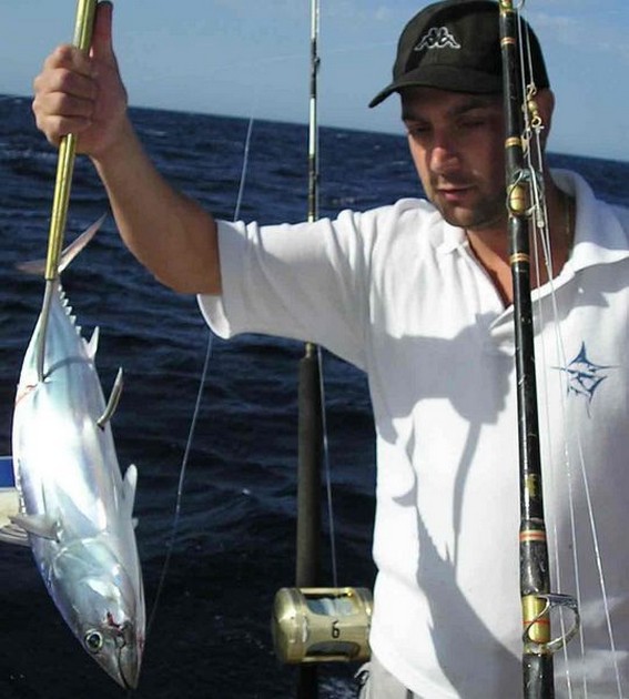 26/11 skipjack tuna Cavalier & Blue Marlin Sport Fishing Gran Canaria