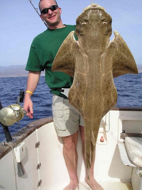 27/11 angel shark Cavalier & Blue Marlin Sport Fishing Gran Canaria