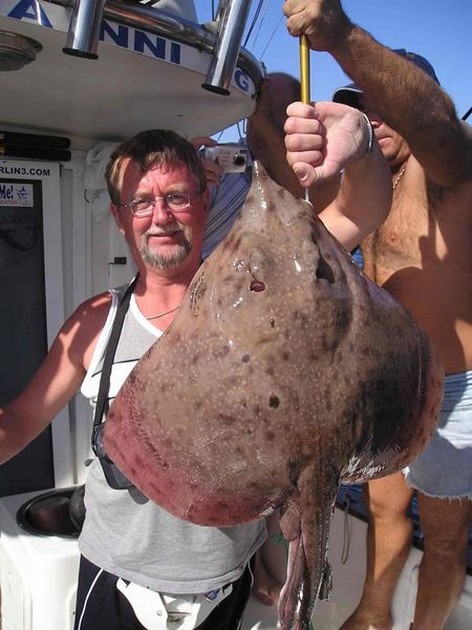 11/01 blonde ray Cavalier & Blue Marlin Sport Fishing Gran Canaria