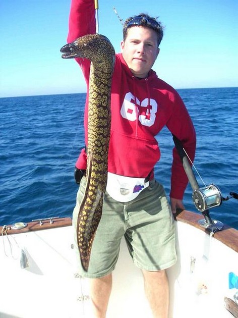 14/01 tiger moray Cavalier & Blue Marlin Sport Fishing Gran Canaria
