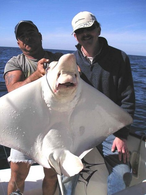 15/01 duckbill ray Cavalier & Blue Marlin Sport Fishing Gran Canaria