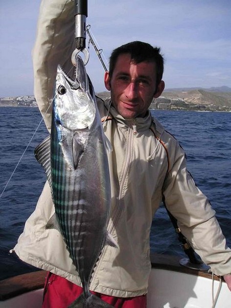 16/01 north atlantic bonito Cavalier & Blue Marlin Sport Fishing Gran Canaria