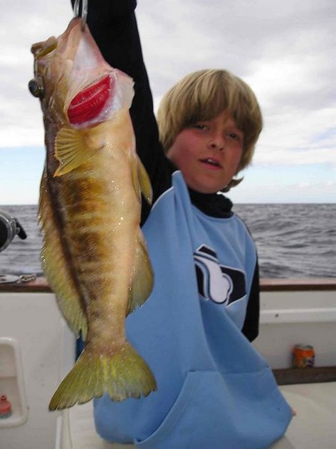 28/01 comber Cavalier & Blue Marlin Sport Fishing Gran Canaria