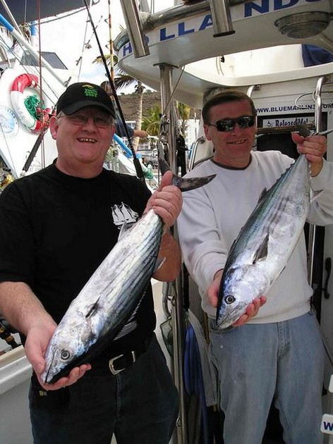 02/02 north atlantic bonito Cavalier & Blue Marlin Sport Fishing Gran Canaria