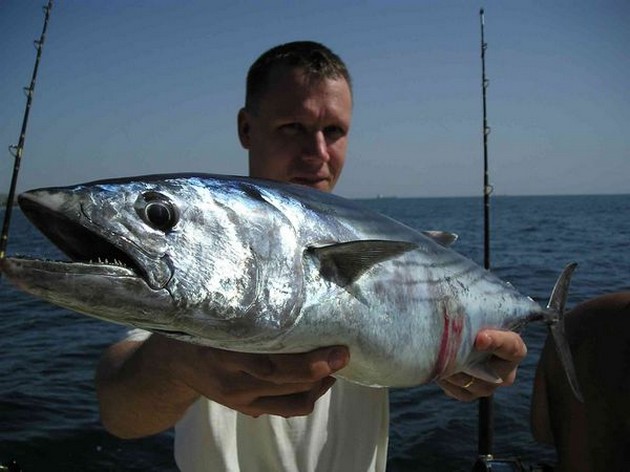 15/02 north atlantic bonito Cavalier & Blue Marlin Sport Fishing Gran Canaria