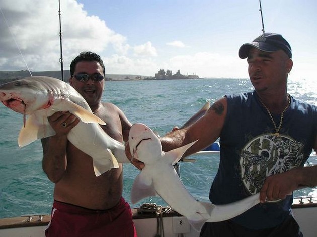 26/02 tope Cavalier & Blue Marlin Sport Fishing Gran Canaria