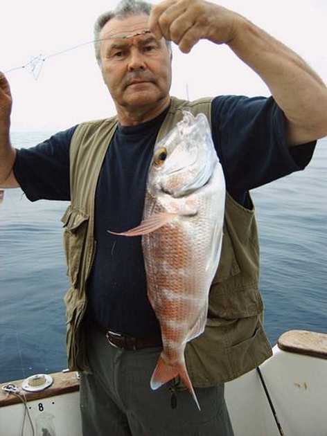 12/04 red snapper Cavalier & Blue Marlin Sport Fishing Gran Canaria