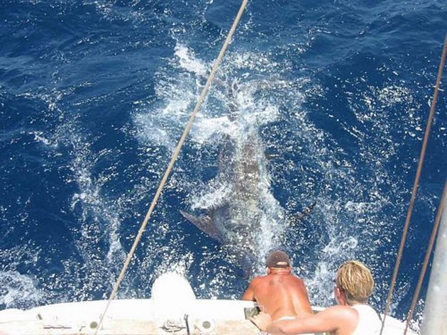 25/07 blue marlin Cavalier & Blue Marlin Sport Fishing Gran Canaria