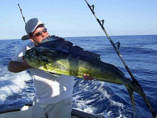 29/07 dorado Cavalier & Blue Marlin Sport Fishing Gran Canaria