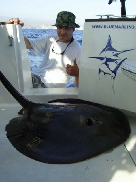 09/08 round stingray Cavalier & Blue Marlin Sport Fishing Gran Canaria