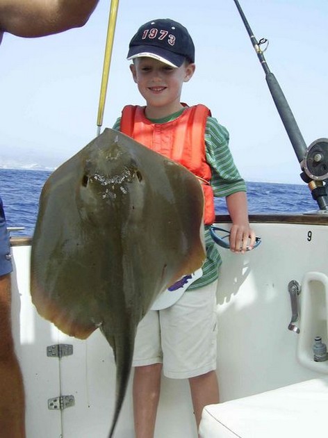 01/09 common stingray Cavalier & Blue Marlin Sport Fishing Gran Canaria