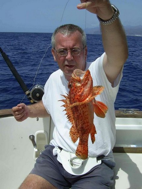 09/09 scorpionfish Cavalier & Blue Marlin Sport Fishing Gran Canaria