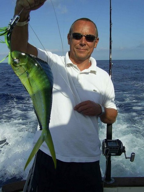 17/09 dorado Cavalier & Blue Marlin Sport Fishing Gran Canaria