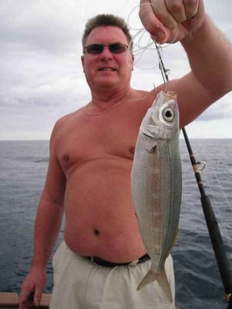 boque Cavalier & Blue Marlin Sport Fishing Gran Canaria