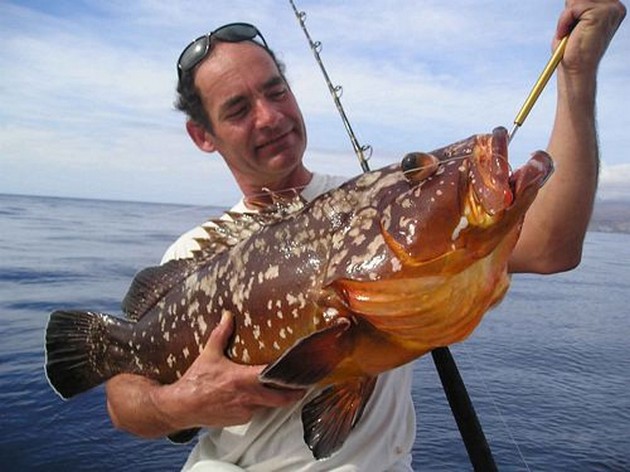 Grouper comb Cavalier & Blue Marlin Sport Fishing Gran Canaria