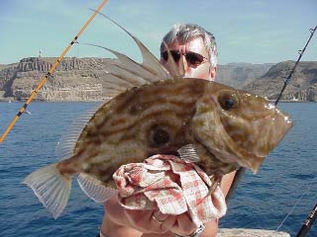 John dory Cavalier & Blue Marlin Sport Fishing Gran Canaria