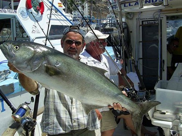 Blue fish - Yellowtail Cavalier & Blue Marlin Sport Fishing Gran Canaria