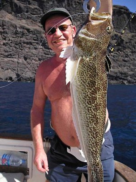 Weever lesser Cavalier & Blue Marlin Sport Fishing Gran Canaria