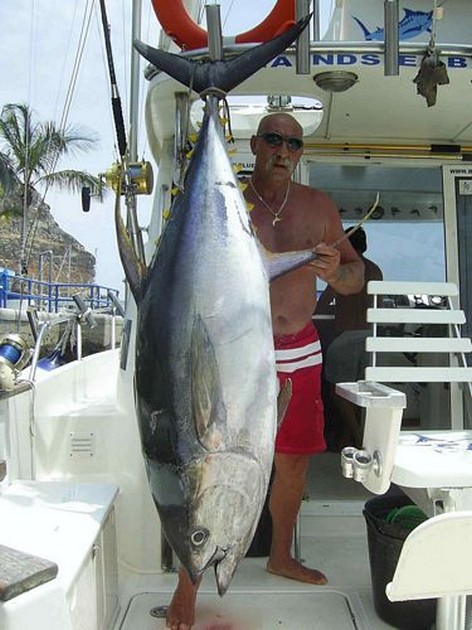 Tuna yellow fin Cavalier & Blue Marlin Sport Fishing Gran Canaria