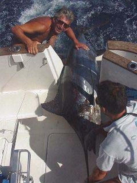 blue marlin Cavalier & Blue Marlin Sport Fishing Gran Canaria