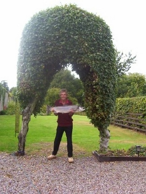 salmon Cavalier & Blue Marlin Sport Fishing Gran Canaria