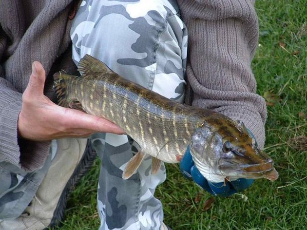 Rob Moerkens Holland Cavalier & Blue Marlin Sport Fishing Gran Canaria