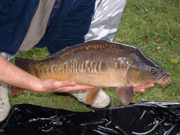 Rob Moerkens Holland Cavalier & Blue Marlin Sport Fishing Gran Canaria