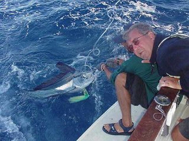 white marlin Cavalier & Blue Marlin Sport Fishing Gran Canaria
