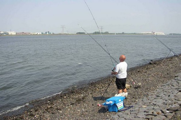 Renee Sla Holland Cavalier & Blue Marlin Sport Fishing Gran Canaria