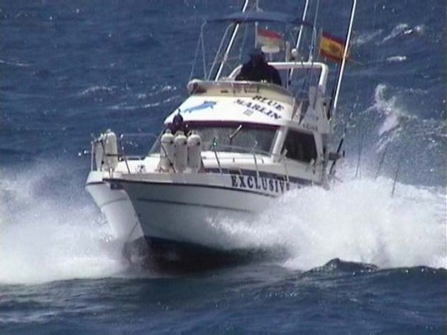 blue marlin 3 Cavalier & Blue Marlin Sport Fishing Gran Canaria