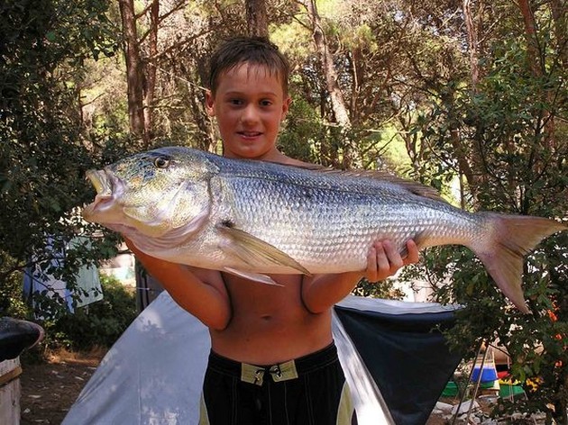 slike pula Cavalier & Blue Marlin Sport Fishing Gran Canaria